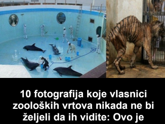 10 fotografija koje vlasnici zooloških vrtova nikada ne bi željeli da ih vidite: Ovo je tužno!