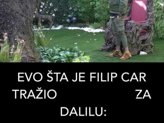 EVO ŠTA JE FILIP CAR TRAŽIO  ZA DALILU: Dejan će se sigurno zgroziti