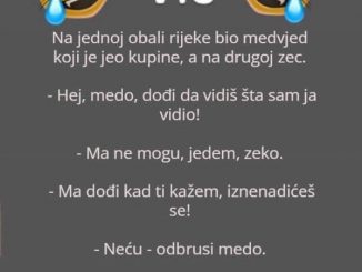 Vic dana: Medvjed i zec na rijeci