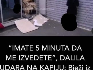 “IMATE 5 MINUTA DA ME IZVEDETE”, DALILA UDARA NA KAPIJU: Bježi iz Zadruge