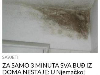 ZA SAMO 3 MINUTA SVA BUĐ IZ DOMA NESTAJE: U Njemačkoj imamo jednu tehniku koja zaista djeluje!