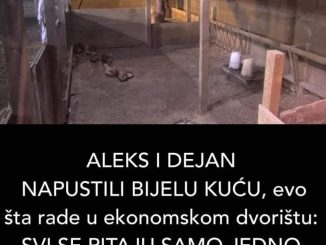 ALEKS I DEJAN NAPUSTILI BIJELU KUĆU, evo šta rade u ekonomskom dvorištu: SVI SE PITAJU SAMO JEDNO