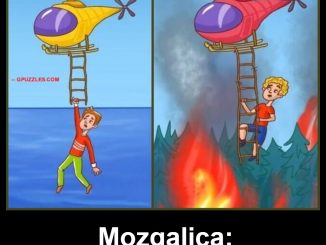 Mozgalica: Ko je sigurniji?