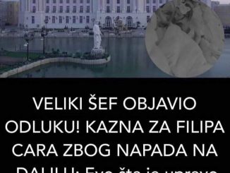 VELIKI ŠEF OBJAVIO ODLUKU! KAZNA ZA FILIPA CARA ZBOG NAPADA NA DALILU: Evo šta je upravo objavljeno