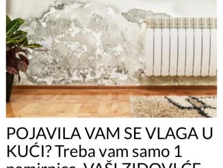 POJAVILA VAM SE VLAGA U KUĆI? Treba vam samo 1 namirnica, VAŠI ZIDOVI ĆE BITI KAO NOVI