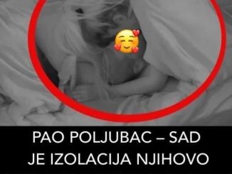 PAO POLJUBAC – SAD JE IZOLACIJA NJIHOVO LJUBAVNO GNIJEZDO: Aleks i Dejan uplovili u ljubavnu vezu