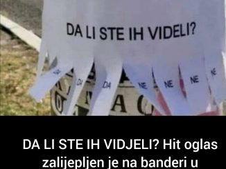 DA LI STE IH VIDJELI? Hit oglas zalijepljen je na banderi u SRBIJI, LJUDI U NEVJERICI KO SE IZGUBIO (FOTO)