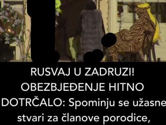 RUSVAJ U ZADRUZI! OBEZBJEĐENJE HITNO DOTRČALO: Spominju se užasne stvari za članove porodice, DISKVALIFIKACIJA NA POMOLU?