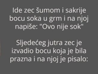 Vic dana: Zec, kornjača i sok