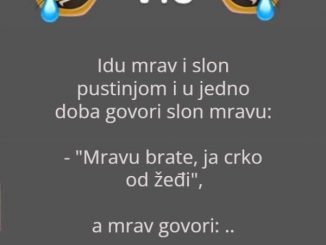 Vic o mravu i slonu u pustinji