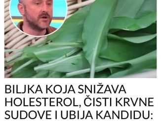 BILJKA KOJA SNIŽAVA HOLESTEROL, ČISTI KRVNE SUDOVE I UBIJA KANDIDU:  Travar Momčilo otkrio 3 najefikasnija recepta