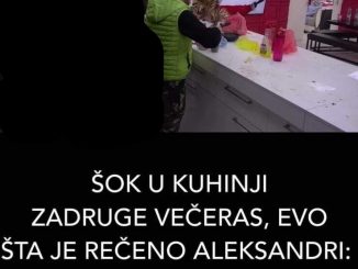 ŠOK U KUHINJI ZADRUGE VEČERAS, EVO ŠTA JE REČENO ALEKSANDRI: Dejan se odmah odmaknuo