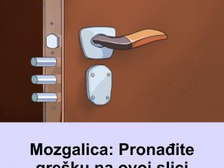 Mozgalica: Pronađite grešku na ovoj slici