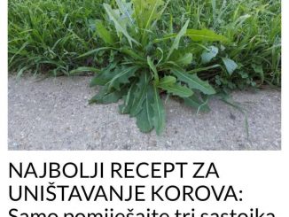 NAJBOLJI RECEPT ZA UNIŠTAVANJE KOROVA: Samo pomiješajte tri sastojka iz kuhinje! (RECEPT)