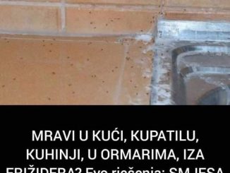 MRAVI U KUĆI, KUPATILU, KUHINJI, U ORMARIMA, IZA FRIŽIDERA?  Evo kako da ih se riješite, NAPRAVITE OVU DOMAĆU SMJESU