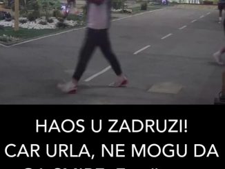 HAOS U ZADRUZI! CAR URLA, NE MOGU DA GA SMIRE