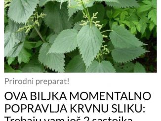 OVA BILJKA MOMENTALNO POPRAVLJA KRVNU SLIKU: Trebaju vam još 2 sastojka, ovako ćete izliječiti anemiju (RECEPT)