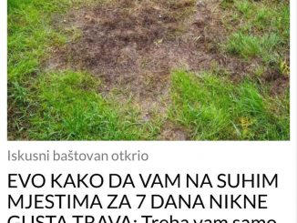 EVO KAKO DA VAM NA SUHIM MJESTIMA ZA 7 DANA NIKNE GUSTA TRAVA:  Treba vam samo jedna stvar, rezultat će vas oduševiti