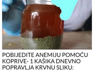 POBIJEDITE ANEMIJU POMOĆU KOPRIVE- 1 KAŠIKA DNEVNO POPRAVLJA KRVNU SLIKU: Napravite sami prirodni preparat za malokrvnost