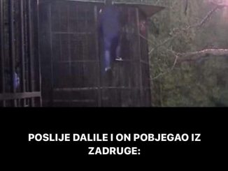 POSLIJE DALILE I ON POBJEGAO IZ ZADRUGE:  Troje takmičara sinoć napustilo imanje, 3 DISKVALIFIKACIJE?!