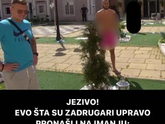 JEZIVO! EVO ŠTA SU ZADRUGARI UPRAVO PRONAŠLI NA IMANJU:  Vriska i dreka, ne mogu da dođu sebi