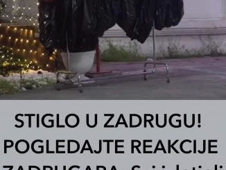 STIGLO U ZADRUGU! POGLEDAJTE REAKCIJE ZADRUGARA:  Svi izletjeli napolje