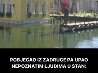 POBJEGAO IZ ZADRUGE PA UPAO NEPOZNATIM LJUDIMA U STAN:  Obezbjeđenje jurilo za njim