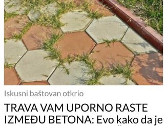 TRAVA VAM UPORNO RASTE IZMEĐU BETONA:  Evo kako da je zauvijek iskorijenite – VIŠE SE NEĆE VRAĆATI